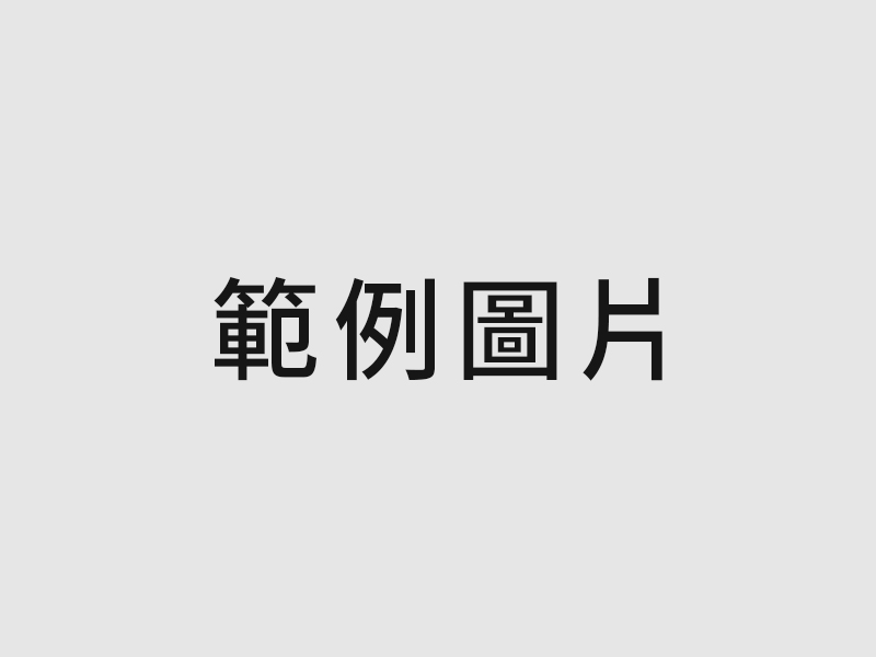 編輯器
